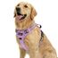 Funfox Hundegeschirr Mittelgroße Hunde, Anti Zug Brustgeschirr Verstellbares Geschirr Hund mit Griff Reflektorstreifen, No Pull Geschirr Hund für Kleine Mittlere Grosse Dog Harness Lavendel L