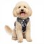 Funfox Hundegeschirr Kleine Hunde [S] - Anti Zug Welpengeschirr mit Griff & Ringreflektoren, Atmungsaktives Verstellbares No Pull Brustgeschirr für Kleine/Mittelgroße Hunde Outdoor Mistig Grau S