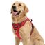 Funfox Hundegeschirr Mittelgroße Hunde [L] - Verstellbares Anti-Zug Brustgeschirr mit Griff & Reflektorstreifen, Atmungsaktives No Pull Hundegeschirr für Grosse/Kleine Hunde Outdoor Rot