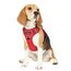 Funfox Hundegeschirr Mittelgroße Hunde [M] - Verstellbares Anti-Zug Brustgeschirr mit Griff & Reflektorstreifen, Atmungsaktives No Pull Hundegeschirr für Grosse/Kleine Hunde Outdoor Rot