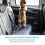 IOKHEIRA Hunde Sicherheitsgurt für Auto, Hundegurt fürs Auto Sicherheitsgeschirr Einstellbarer mit Universalstecker & Befestigung der Verriegelungsstange (Mitternacht)