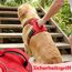 Funfox Hundegeschirr Mittelgroße Hunde [M] - Verstellbares Anti-Zug Brustgeschirr mit Griff & Reflektorstreifen, Atmungsaktives No Pull Hundegeschirr für Grosse/Kleine Hunde Outdoor Rot