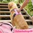 Funfox Hundegeschirr Mittelgroße Hunde [L] - Verstellbares Anti-Zug Brustgeschirr mit Griff & Reflektorstreifen, Atmungsaktives No Pull Hundegeschirr für Grosse/Kleine Hunde Outdoor Rosa