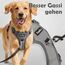 Funfox Hundegeschirr Mittelgroße Hunde [M] - Verstellbares Anti-Zug Brustgeschirr mit Griff & Reflektorstreifen, Atmungsaktives No Pull Hundegeschirr für Grosse/Kleine Hunde Outdoor Grau