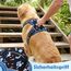 Funfox Hundegeschirr Mittelgroße Hunde, Anti Zug Brustgeschirr Verstellbares Geschirr Hund mit Griff Reflektorstreifen, No Pull Geschirr Hund für Kleine Mittlere Grosse Dog Harness Mosaik Blau L