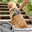 Funfox Hundegeschirr Mittelgroße Hunde [M] - Verstellbares Anti-Zug Brustgeschirr mit Griff & Reflektorstreifen, Atmungsaktives No Pull Hundegeschirr für Grosse/Kleine Hunde Outdoor Grau