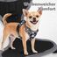 Funfox Hundegeschirr Kleine Hunde [S] - Anti Zug Welpengeschirr mit Griff & Ringreflektoren, Atmungsaktives Verstellbares No Pull Brustgeschirr für Kleine/Mittelgroße Hunde Outdoor Mistig Grau S