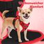 Funfox Hundegeschirr Kleine Hunde [S] - Anti Zug Welpengeschirr mit Griff & Ringreflektoren, Atmungsaktives Verstellbares No Pull Brustgeschirr für Kleine/Mittelgroße Hunde Outdoor Rot