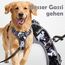 Funfox Hundegeschirr Kleine Hunde [S] - Anti Zug Welpengeschirr mit Griff & Ringreflektoren, Atmungsaktives Verstellbares No Pull Brustgeschirr für Kleine/Mittelgroße Hunde Outdoor Mistig Grau S