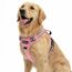 Funfox Hundegeschirr Mittelgroße Hunde [L] - Verstellbares Anti-Zug Brustgeschirr mit Griff & Reflektorstreifen, Atmungsaktives No Pull Hundegeschirr für Grosse/Kleine Hunde Outdoor Rosa