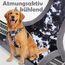 Funfox Hundegeschirr Mittelgroße Hunde [M] - Verstellbares Anti-Zug Brustgeschirr mit Griff & Reflektorstreifen, Atmungsaktives No Pull Hundegeschirr für Grosse/Kleine Hunde Outdoor Mistig Grau M
