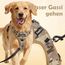 Funfox Hundegeschirr Kleine Hunde [S] - Anti Zug Welpengeschirr mit Griff & Ringreflektoren, Atmungsaktives Verstellbares No Pull Brustgeschirr für Kleine/Mittelgroße Hunde Outdoor Tarnbraun