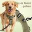 Funfox Hundegeschirr Kleine Hunde [M] - Anti Zug Welpengeschirr mit Griff & Ringreflektoren, Atmungsaktives Verstellbares No Pull Brustgeschirr für Kleine/Mittelgroße Hunde Outdoor Militärgrün