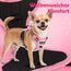 Funfox Hundegeschirr Mittelgroße Hunde [L] - Verstellbares Anti-Zug Brustgeschirr mit Griff & Reflektorstreifen, Atmungsaktives No Pull Hundegeschirr für Grosse/Kleine Hunde Outdoor Rosa