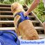 Funfox Hundegeschirr Mittelgroße Hunde [L] - Verstellbares Anti-Zug Brustgeschirr mit Griff & Reflektorstreifen, Atmungsaktives No Pull Hundegeschirr für Grosse/Kleine Hunde Outdoor Blau