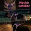 Funfox Hundegeschirr Mittelgroße Hunde [M] - Verstellbares Anti-Zug Brustgeschirr mit Griff & Reflektorstreifen, Atmungsaktives No Pull Hundegeschirr für Grosse/Kleine Hunde Outdoor Mosaik Rosa