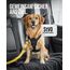 ZAUBERPFOTE Hundegurt 'Argo‘ fürs Auto – Verstellbarer Sicherheitsgurt mit Rückdämpfung & ISOFIX Anschluss – Anschnallgurt für alle Hunderassen (Gelb, Gr. L)