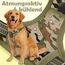 Funfox Hundegeschirr Kleine Hunde [S] - Anti Zug Welpengeschirr mit Griff & Ringreflektoren, Atmungsaktives Verstellbares No Pull Brustgeschirr für Kleine Mittelgroße Hunde Outdoor Kampfuniformgrün
