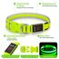 Leuchthalsband Hund, Colaseeme LED Hunde Leuchthalsband, Wasserdicht Hundehalsband Leuchtend, HundeleuchthalsbäNder Aufladbar für Pet Night Walking Safety, grün M