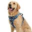 Funfox Hundegeschirr Mittelgroße Hunde, Anti Zug Brustgeschirr Verstellbares Geschirr Hund mit Griff Reflektorstreifen, No Pull Geschirr Hund für Kleine Mittlere Grosse Dog Harness Mosaik Blau L