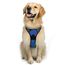rabbitgoo Hundegeschirr Grosse Hunde, Anti Zug Geschirr mit Kontrolle, No Pull Verstellbar Hundegeschirr Mittelgroße Hunde, Atmungsaktiv Reflexstreifen Brustgeschirr Sichere Führung, Blau, L