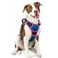 rabbitgoo Hundegeschirr Grosse Hunde, Anti Zug Geschirr mit Kontrolle, No Pull Verstellbar Hundegeschirr Mittelgroße Hunde, Atmungsaktiv Reflexstreifen Brustgeschirr Sichere Führung, Blau & Rosarot, L