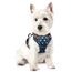 rabbitgoo Hundegeschirr Mittelgroße Hunde, Anti Zug Geschirr mit Kontrolle, No Pull Verstellbar Hundegeschirr Grosse Hunde, Atmungsaktiv Reflexstreifen Brustgeschirr Sichere，Blauer Stern，XS