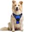 rabbitgoo Hundegeschirr Mittelgroße Hunde Anti Zug Geschirr Hund mit Kontrolle No Pull Verstellbar Hundegeschirr Grosse Hunde Atmungsaktiv Reflexstreifen Brustgeschirr Hund Sichere Führung Blau M