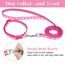 tonyg-p 2 Stück Welpenhalsbänder mit Leine Set, Hundehalsband und Leine Verstellbares Hundehalsband Weich Nylon Haustier Halsband für Welpen Kleine Mittlere Hunde