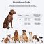 KOSKILL Leuchthalsband Hund Wiederaufladbare USB LED Hundehalsband Wasserdichtes Leuchtendes Hunde Halsband Einstellbare Super Helle für Kleine Mittlere Große Hunde (Orange, L)