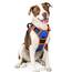 rabbitgoo Hundegeschirr Grosse Hunde, Anti Zug Geschirr mit Kontrolle, No Pull Verstellbar Hundegeschirr Mittelgroße Hunde, Atmungsaktiv Reflexstreifen Brustgeschirr Sichere Führung, Blau & Orange, L