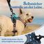 rabbitgoo Hundegeschirr Mittelgroße Hunde, Anti Zug Geschirr mit Kontrolle, No Pull Verstellbar Hundegeschirr Grosse Hunde, Atmungsaktiv Reflexstreifen Brustgeschirr Sichere，Blauer Stern，XS