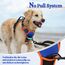 rabbitgoo Hundegeschirr Mittelgroße Hunde Anti Zug Geschirr Hund mit Kontrolle No Pull Verstellbar Hundegeschirr Grosse Hunde Atmungsaktiv Reflexstreifen Brustgeschirr Sichere Führung Blau+Orange M