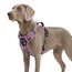 Funfox Hundegeschirr Grosse Hunde [XL] - Verstellbares Anti-Zug Brustgeschirr mit Griff & Reflektorstreifen, Atmungsaktives No Pull Hundegeschirr für Grosse/Mittelgroße Hunde Outdoor Mosaik Rosa