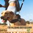 ZENOXO® [3m] Hundeleine | Schmutz- & wasserfest - Für mittlere & große Hunde - 4-Fach verstellbare Laufleine & Umhängeleine