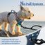 rabbitgoo Hundegeschirr Mittelgroße Hunde, Anti Zug Geschirr mit Kontrolle, No Pull Verstellbar Hundegeschirr Grosse Hunde, Atmungsaktiv Reflexstreifen Brustgeschirr Sichere，Blauer Stern，XS