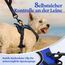rabbitgoo Hundegeschirr Kleine Hunde, Anti Zug Geschirr mit Kontrolle, No Pull Verstellbar Hundegeschirr Grosse Hunde, Atmungsaktiv Reflexstreifen Brustgeschirr Sichere Führung Blau XS