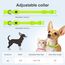 YFbrite Leuchtende Hundehalsbänder, USB-aufladbares LED-Hundehalsband, verstellbares LED-Katzenhalsband, langlebiges Blinkhalsband für Katzen, Welpen, kleine, mittelgroße und große Hunde (Grün, XS)