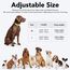 KOSKILL Leuchthalsband Hund Wiederaufladbare USB LED Hundehalsband Wasserdichtes Leuchtendes Hunde Halsband Einstellbare Super Helle für Kleine Mittlere Große Hunde (Grün, M)
