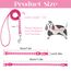 tonyg-p 2 Stück Welpenhalsbänder mit Leine Set, Hundehalsband und Leine Verstellbares Hundehalsband Weich Nylon Haustier Halsband für Welpen Kleine Mittlere Hunde