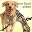 Funfox Hundegeschirr Kleine Hunde [L] - Anti Zug Welpengeschirr mit Griff & Ringreflektoren, Atmungsaktives Verstellbares No Pull Brustgeschirr für Kleine Mittelgroße Hunde Outdoor Kampfuniformgrün