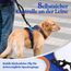 rabbitgoo Hundegeschirr Grosse Hunde, Anti Zug Geschirr mit Kontrolle, No Pull Verstellbar Hundegeschirr Mittelgroße Hunde, Atmungsaktiv Reflexstreifen Brustgeschirr Sichere Führung, Blau & Orange, XL