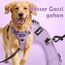 Funfox Hundegeschirr Grosse Hunde [XL] - Verstellbares Anti-Zug Brustgeschirr mit Griff & Reflektorstreifen, Atmungsaktives No Pull Hundegeschirr für Grosse/Mittelgroße Hunde Outdoor Lavendel