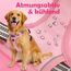 Funfox Hundegeschirr Grosse Hunde [XL] - Verstellbares Anti-Zug Brustgeschirr mit Griff & Reflektorstreifen, Atmungsaktives No Pull Hundegeschirr für Grosse/Mittelgroße Hunde Outdoor Rosa