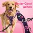 Funfox Hundegeschirr Grosse Hunde [XL] - Verstellbares Anti-Zug Brustgeschirr mit Griff & Reflektorstreifen, Atmungsaktives No Pull Hundegeschirr für Grosse/Mittelgroße Hunde Outdoor Mosaik Rosa