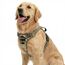 Funfox Hundegeschirr Kleine Hunde [L] - Anti Zug Welpengeschirr mit Griff & Ringreflektoren, Atmungsaktives Verstellbares No Pull Brustgeschirr für Kleine Mittelgroße Hunde Outdoor Kampfuniformgrün