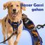 Funfox Hundegeschirr Grosse Hunde [XL] - Verstellbares Anti-Zug Brustgeschirr mit Griff & Reflektorstreifen, Atmungsaktives No Pull Hundegeschirr für Grosse/Mittelgroße Hunde Outdoor Tarnorange