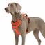 Funfox Hundegeschirr Grosse Hunde [XL] - Verstellbares Anti-Zug Brustgeschirr mit Griff & Reflektorstreifen, Atmungsaktives No Pull Hundegeschirr für Grosse/Mittelgroße Hunde Outdoor Orange