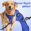 Funfox Hundegeschirr Grosse Hunde [XL] - Verstellbares Anti-Zug Brustgeschirr mit Griff & Reflektorstreifen, Atmungsaktives No Pull Hundegeschirr für Grosse/Mittelgroße Hunde Outdoor Blau