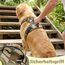 Funfox Hundegeschirr Kleine Hunde [XL] - Anti Zug Welpengeschirr mit Griff & Ringreflektoren, Atmungsaktives Verstellbares No Pull Brustgeschirr für Kleine Mittelgroße Hunde Outdoor Kampfuniformgrün